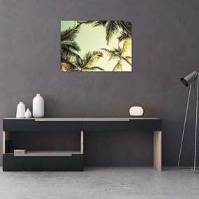 Obraz s kokosovými palmami (70x50 cm)