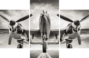 Obraz - Warbird (90x60 cm)