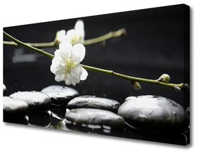Obraz na plátne Kvet kamene umenie 100x50 cm