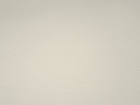 Jedálenská stolička Camisetas (krémová + dub). Akcia -23%. Vlastná spoľahlivá doprava až k Vám domov. 1136489