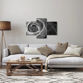 Obraz - Abstraktné ruže čiernobiela (90x60 cm)