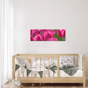Obraz - Ružové tulipány (s hodinami) (90x30 cm)