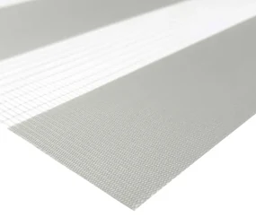 Gario Roleta Deň a noc Mini Standard Sivá Šírka: 69 cm, Výška: 220 cm