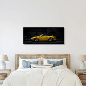 Obraz - Športiak (120x50 cm)