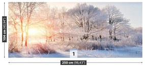 Fototapeta Vliesová Zimné stromy 152x104 cm