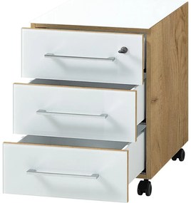 Biela prírodná skrinka v dekore duba 40x55 cm Monteria – Germania