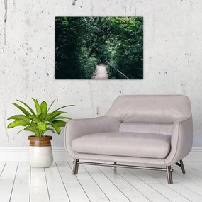 Obraz - Cesta lesom (70x50 cm)