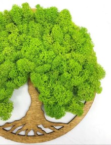 Strom na stenu z machu Navi 20 cm