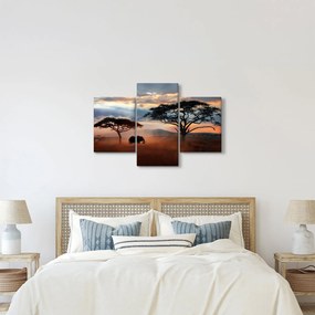 Obraz - Národný park Serengeti, Tanzánia, Afrika (90x60 cm)