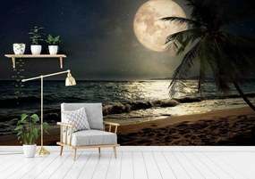 Manufakturer -  Tapeta Full moon on the beach