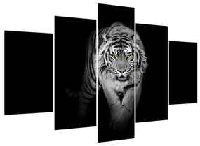 Čiernobiely obraz tigra (150x105 cm)