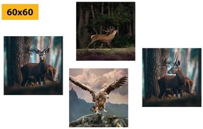 Set obrazov majestátne lesné zvieratá