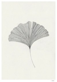 The Poster Club Plagát Ginkgo Leaf by Ana Frois A4 (21x27cm)
