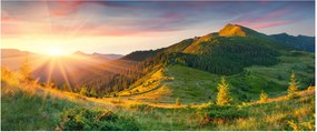 Obraz - Letná krajina (120x50 cm)