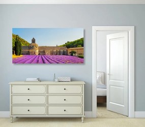 Obraz Provensálsko s levanduľovými poľami - 120x60