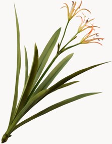 Rastlinná dekorácia Crinum