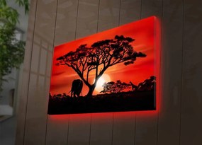 Obraz s LED osvětlením AFRICKÁ KRÁSA 53 45 x 70 cm