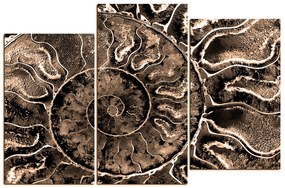 Obraz na plátne - Textúra fosílie 1174FD (105x70 cm)