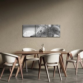 Obraz - Vlk, čiernobiela (s hodinami) (90x30 cm)