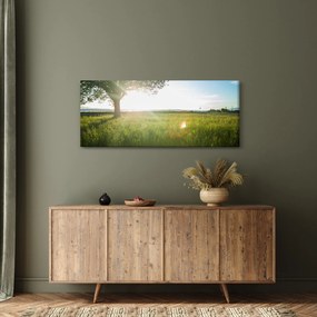 Obraz stromu v poli (120x50 cm)