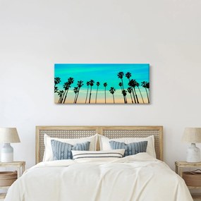 Obraz - Kalifornia (120x50 cm)