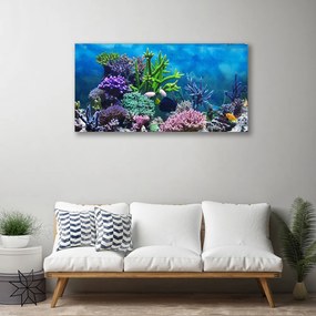 Obraz Canvas Akvárium rybičky pod vodou 140x70 cm