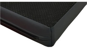 Bestent Matrac pre psa 80x60cm Black Benny L