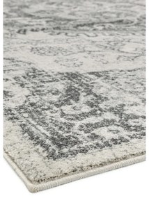 Sivo-krémový koberec 200x290 cm Nova – Asiatic Carpets