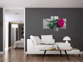 Obraz - Ružová ruža so zelenou stonkou (90x60 cm)
