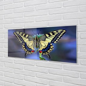 Obraz na akrylátovom skle Motýľ na kvetine 120x60 cm