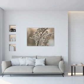 Obraz - Rastlina v mraze (90x60 cm)