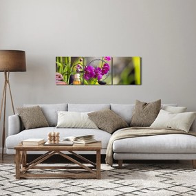 Obraz - spa and stones (s hodinami) (90x30 cm)