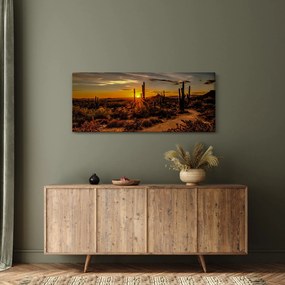 Obraz - Koniec dňa v arizonskej púšti (120x50 cm)