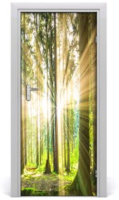 Fototapeta na dvere slnka v lese 75x205 cm