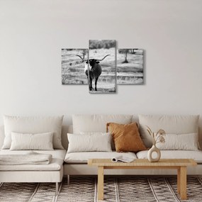 Obraz - Krava, čiernobiela (90x60 cm)