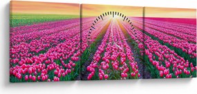 Obraz poľa tulipánov so slnkom (s hodinami) (90x30 cm)