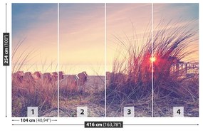 Fototapeta Vliesová Pláž 250x104 cm