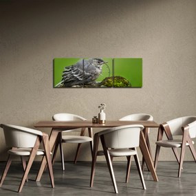 Obraz - Muchárik (s hodinami) (90x30 cm)