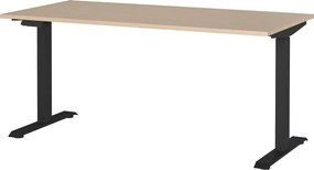 Pracovný stôl s elektricky nastaviteľnou výškou v dekore duba 80x160 cm – Germania