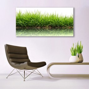 Obraz na akrylátovom skle Tráva voda príroda rastlina 120x60 cm