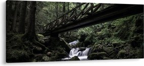 Obraz z čierneho lesa (120x50 cm)