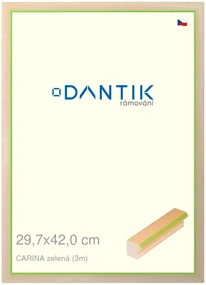 DANTIK rám na obraz 29,7x42 | CARINA zelená (Plexi Čiré)