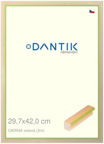 DANTIK rám na obraz 29,7x42 | CARINA zelená (Plexi Čiré)