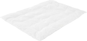 XXXLutz PRIKRÝVKA PRE BÁBÄTKO 100/135 cm Träumeland - Detské vankúše a detské prikrývky - 006869010302