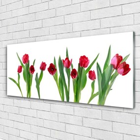 Obraz plexi Tulipány kvety rastlina 125x50 cm