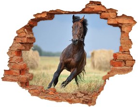 Nálepka 3D diera na stenu Cválajícím konoch nd-c-99827163
