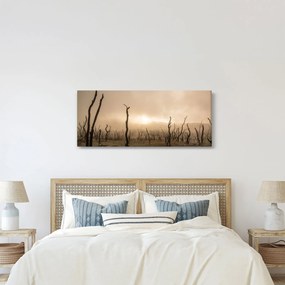 Obraz - Holé stromy (120x50 cm)