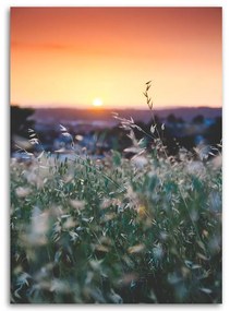 Gario Obraz na plátne Lúka a západ slnka Rozmery: 40 x 60 cm