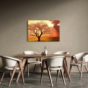 Obraz lúčov Boha (90x60 cm)