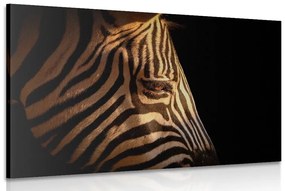Obraz portrét zebry - 120x80